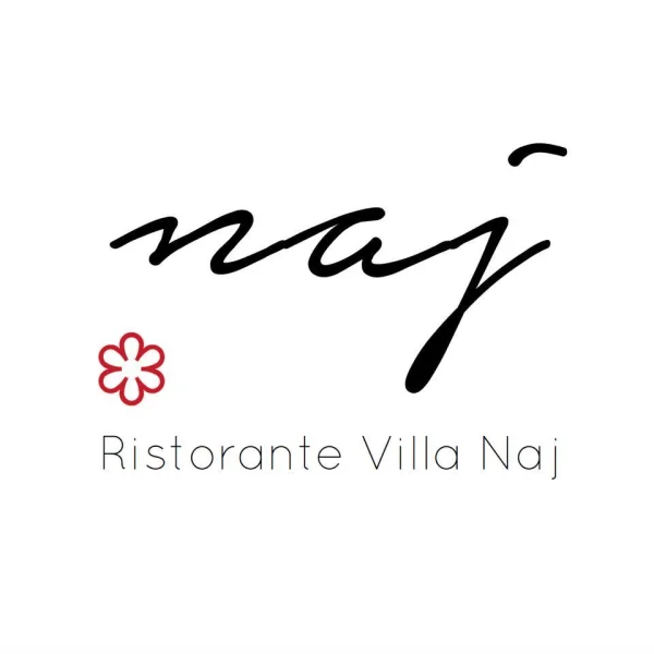 Logo Ristorante Villa Naj